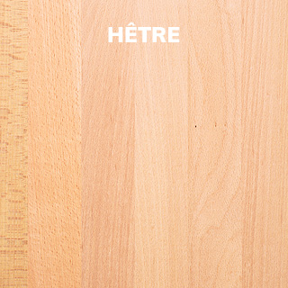 hêtre