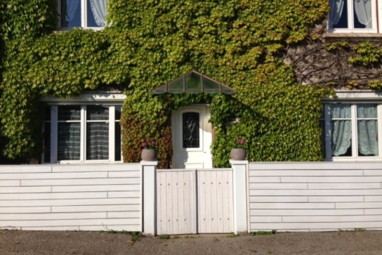106-cloture-en-pin