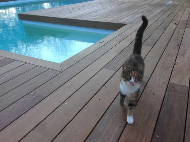 501-belle-plage-de-piscine-en-bois-exotique-ipe-a-savignieux-ain